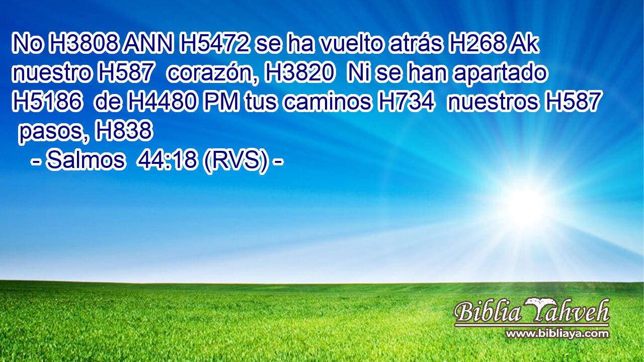 No H3808 ANN H5472 se ha vuelto atrás H268 Ak nuestro H587  corazón, H3820  Ni se han apartado H5186  de H4480 PM tus caminos H734  nuestros H587  pasos, H838  