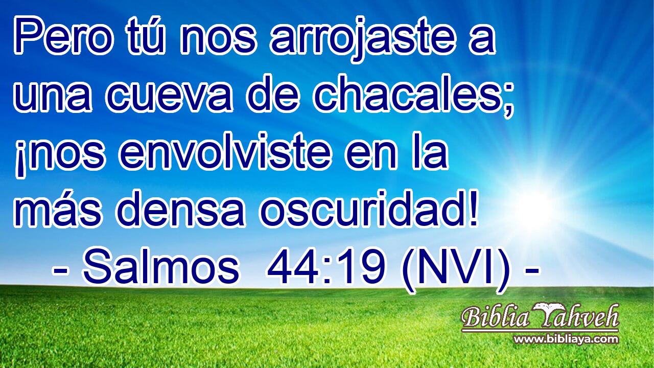  Pero tú nos arrojaste a una cueva de chacales; ¡nos envolviste en la más densa oscuridad! 