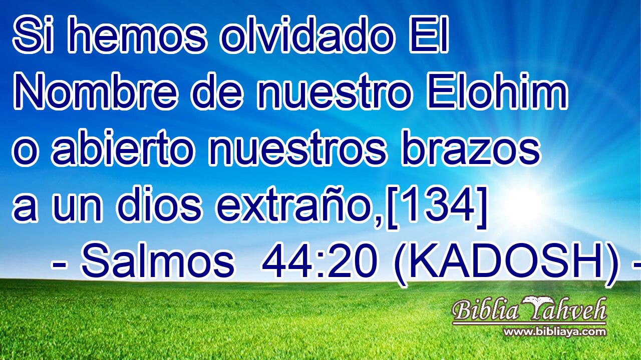  Si hemos olvidado El Nombre de nuestro Elohim o abierto nuestros brazos a un dios extraño,[134] 
