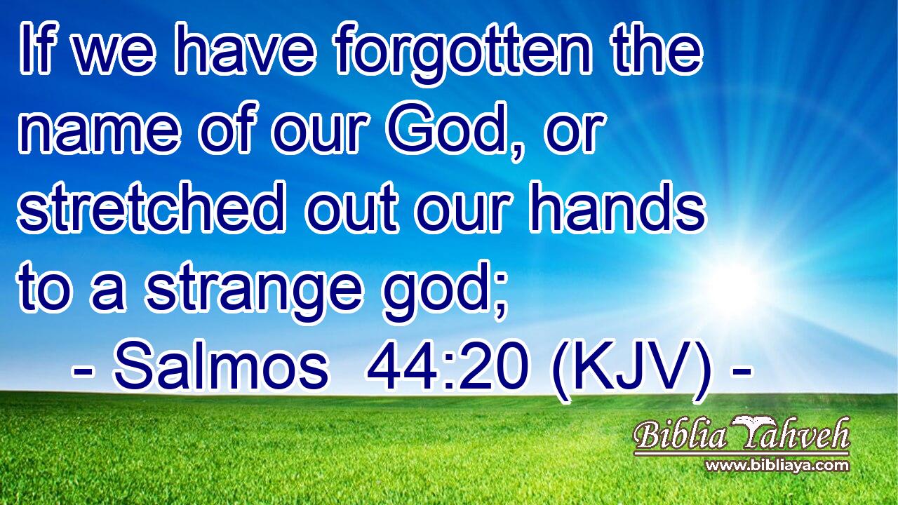 If we have forgotten the name of our God, or stretched out our hands to a strange god;