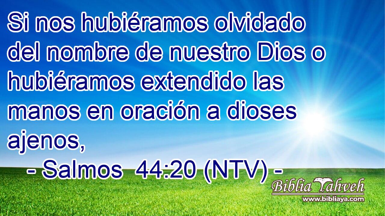 Si nos hubiéramos olvidado del nombre de nuestro Dios o hubiéramos extendido las manos en oración a dioses ajenos,