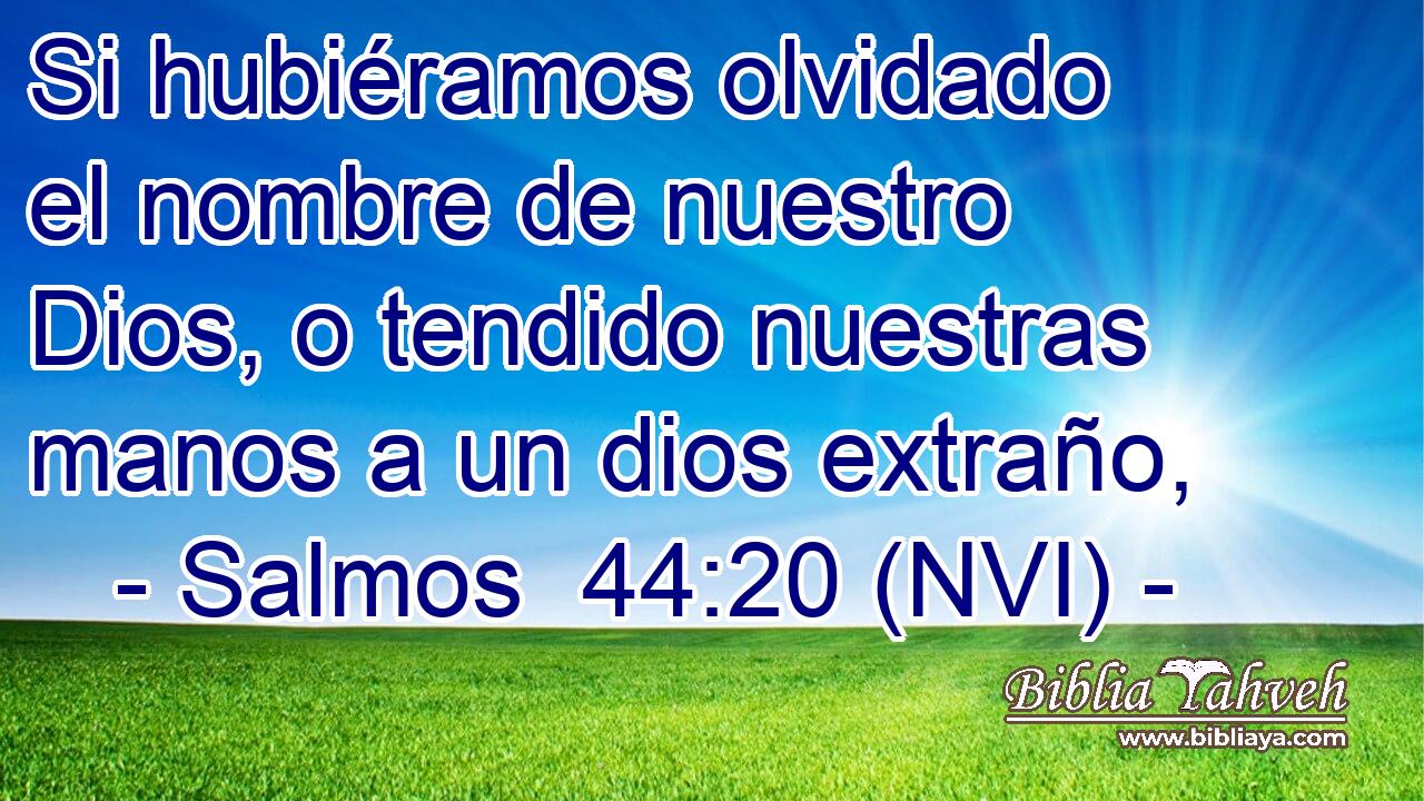  Si hubiéramos olvidado el nombre de nuestro Dios, o tendido nuestras manos a un dios extraño, 