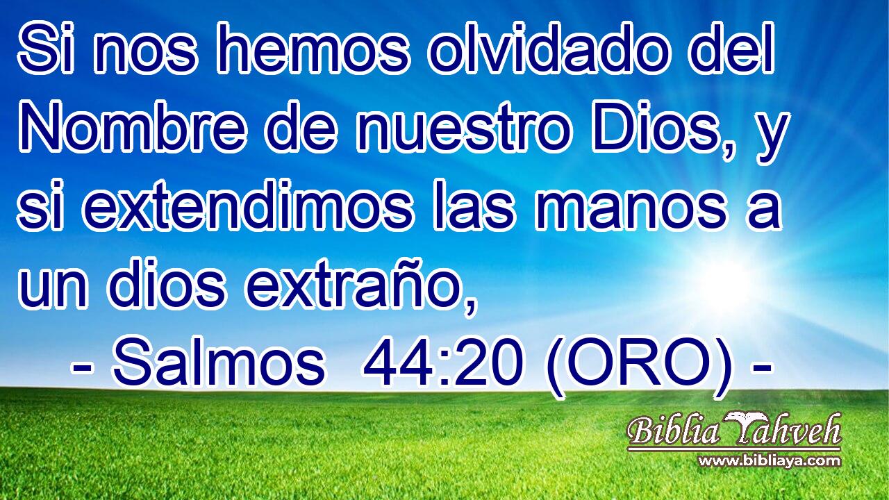  Si nos hemos olvidado del Nombre de nuestro Dios, y si extendimos las manos a un dios extraño, 