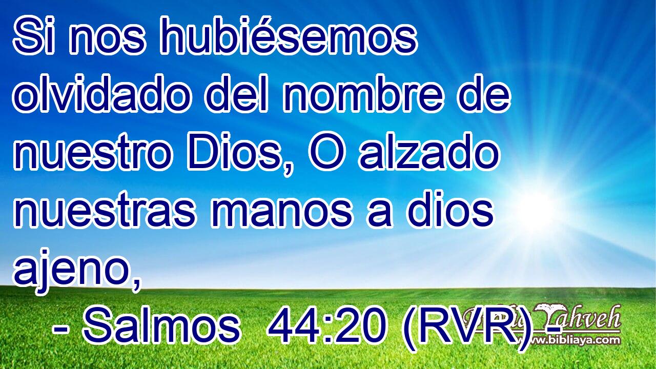 Si nos hubiésemos olvidado del nombre de nuestro Dios, O alzado nuestras manos a dios ajeno,