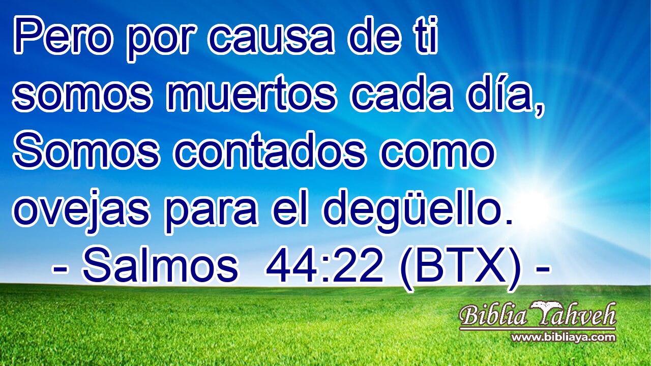 Pero por causa de ti somos muertos cada día, Somos contados como ovejas para el degüello.