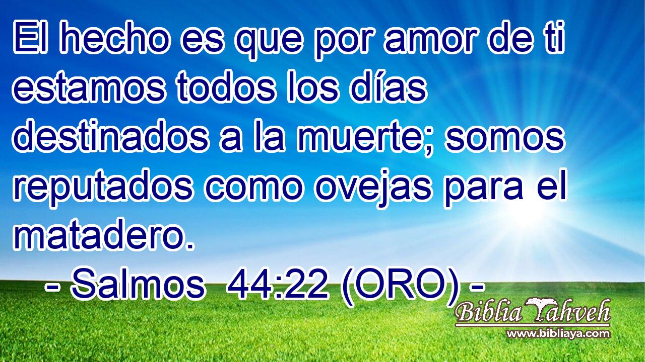  El hecho es que por amor de ti estamos todos los días destinados a la muerte; somos reputados como ovejas para el matadero. 