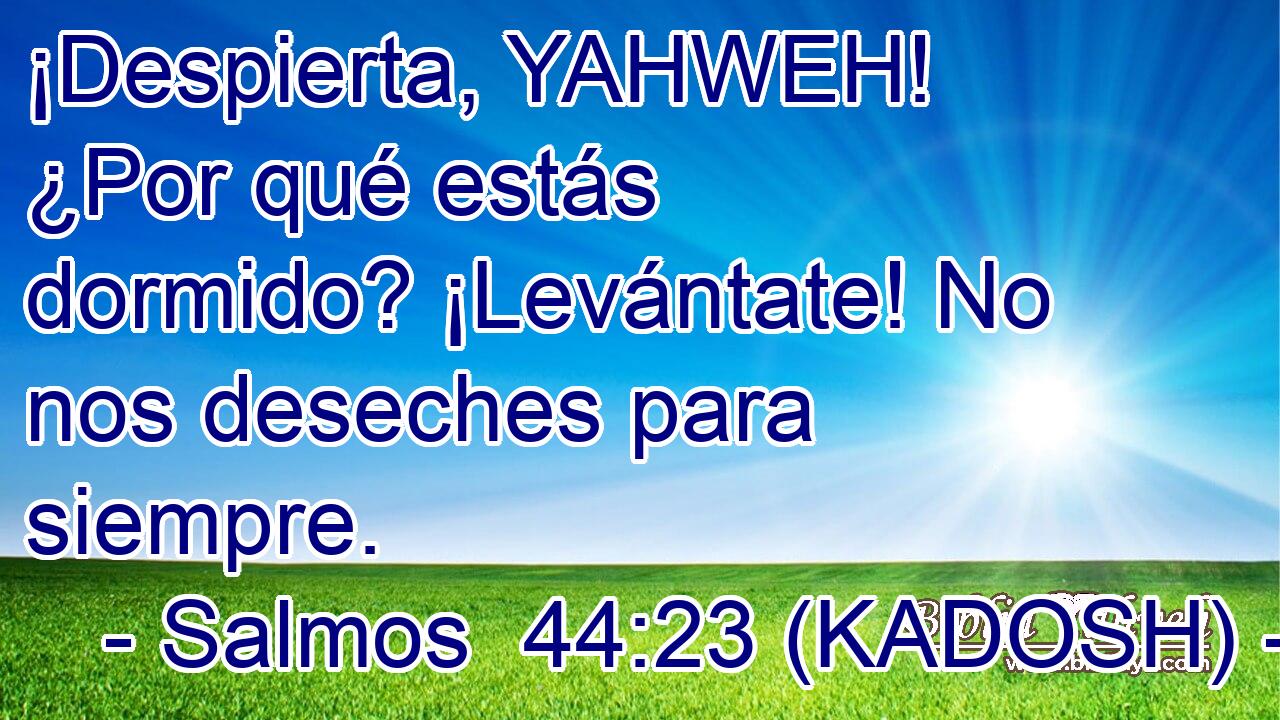  ¡Despierta, YAHWEH! ¿Por qué estás dormido? ¡Levántate! No nos deseches para siempre. 