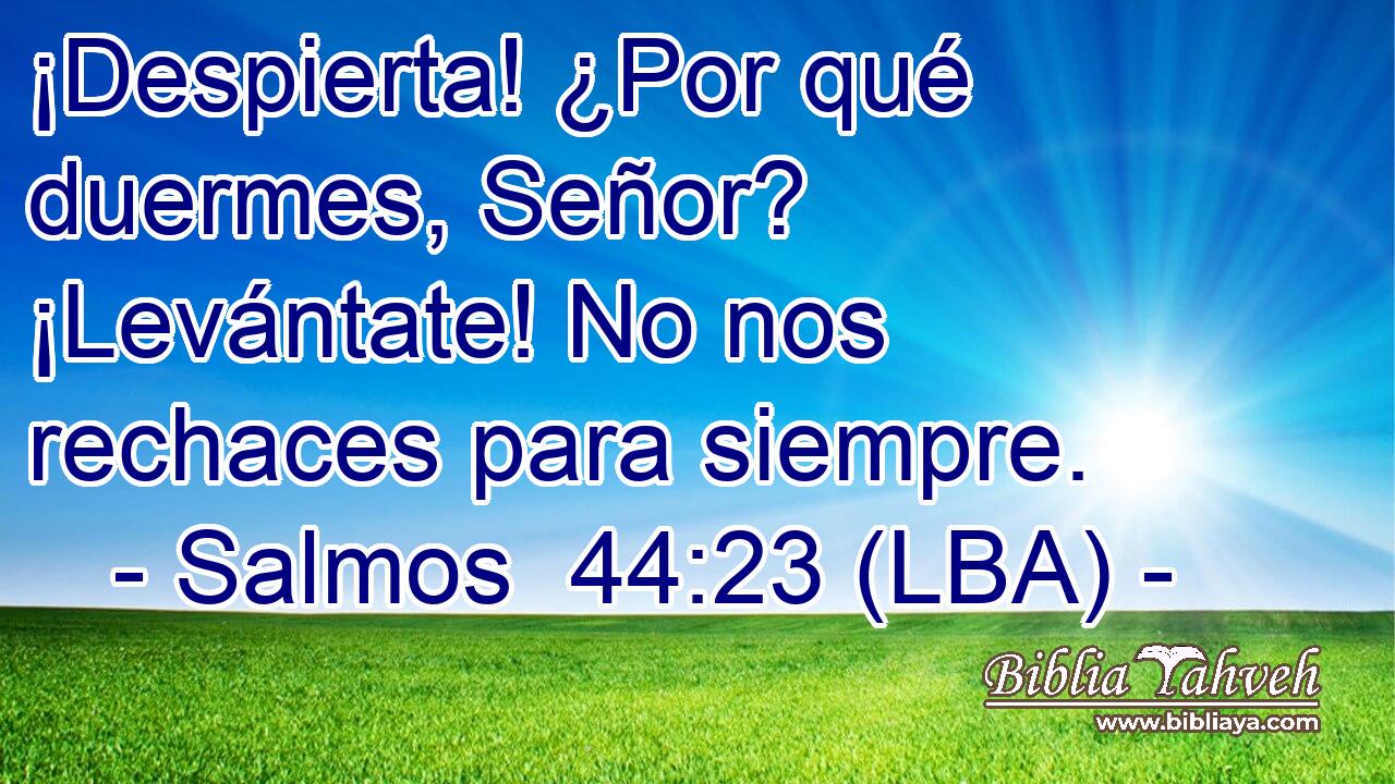 ¡Despierta! ¿Por qué duermes, Señor? ¡Levántate! No nos rechaces para siempre.