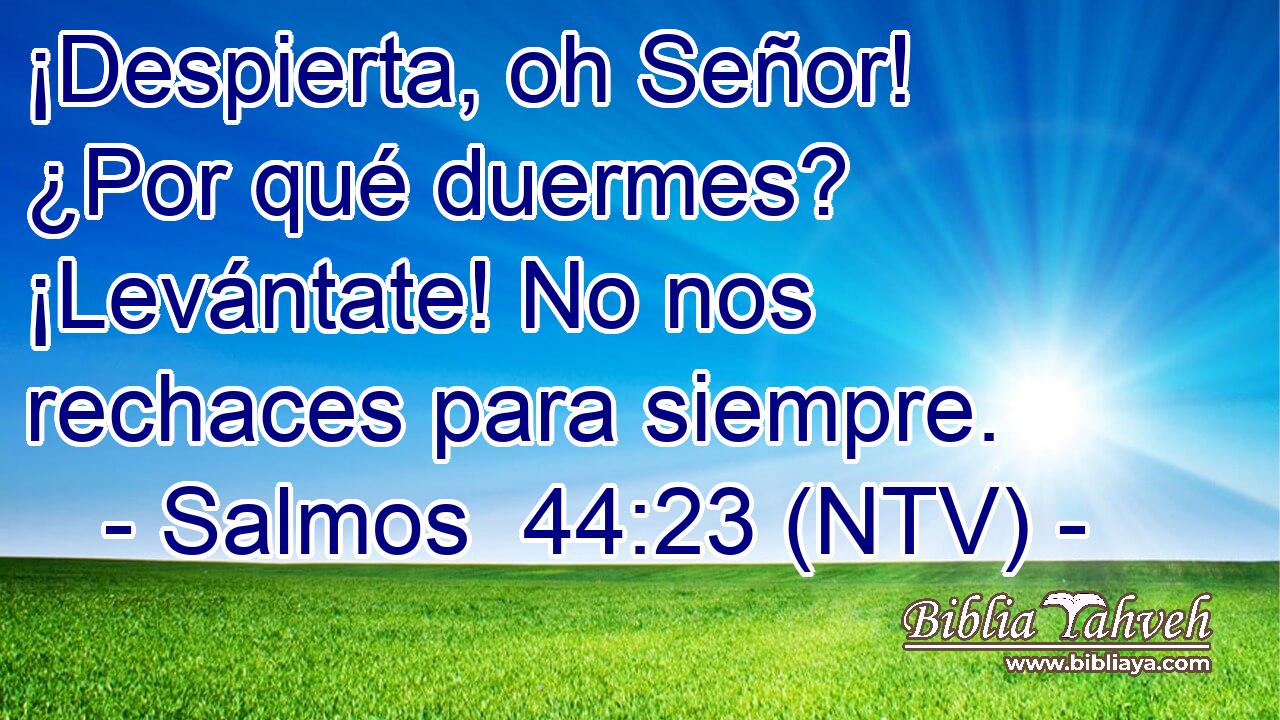 ¡Despierta, oh Señor! ¿Por qué duermes? ¡Levántate! No nos rechaces para siempre.