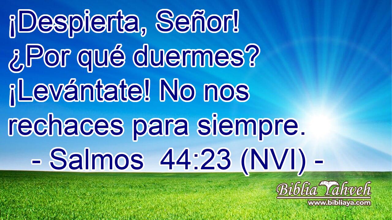 ¡Despierta, Señor! ¿Por qué duermes? ¡Levántate! No nos rechaces para siempre. 