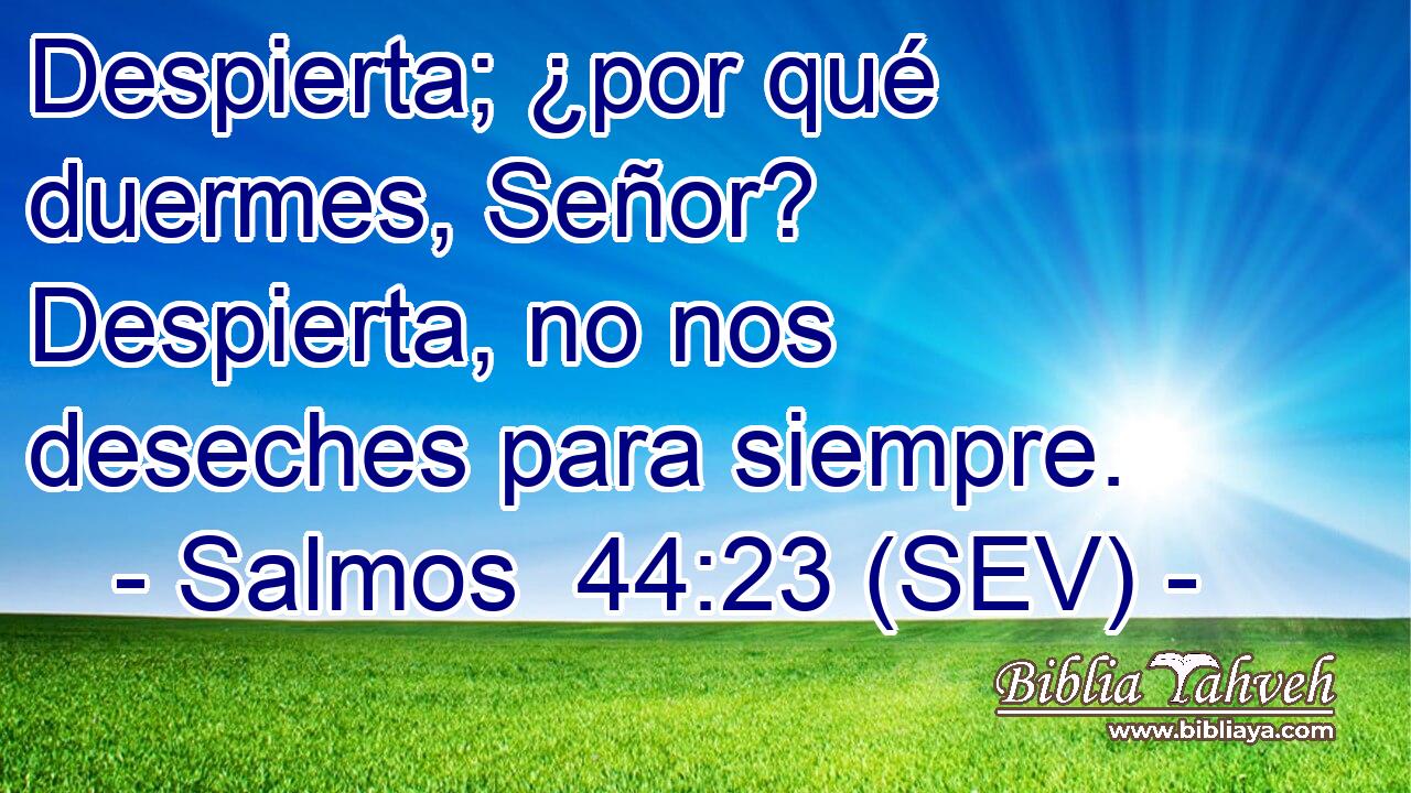 Despierta; ¿por qué duermes, Señor? Despierta, no nos deseches para siempre.
