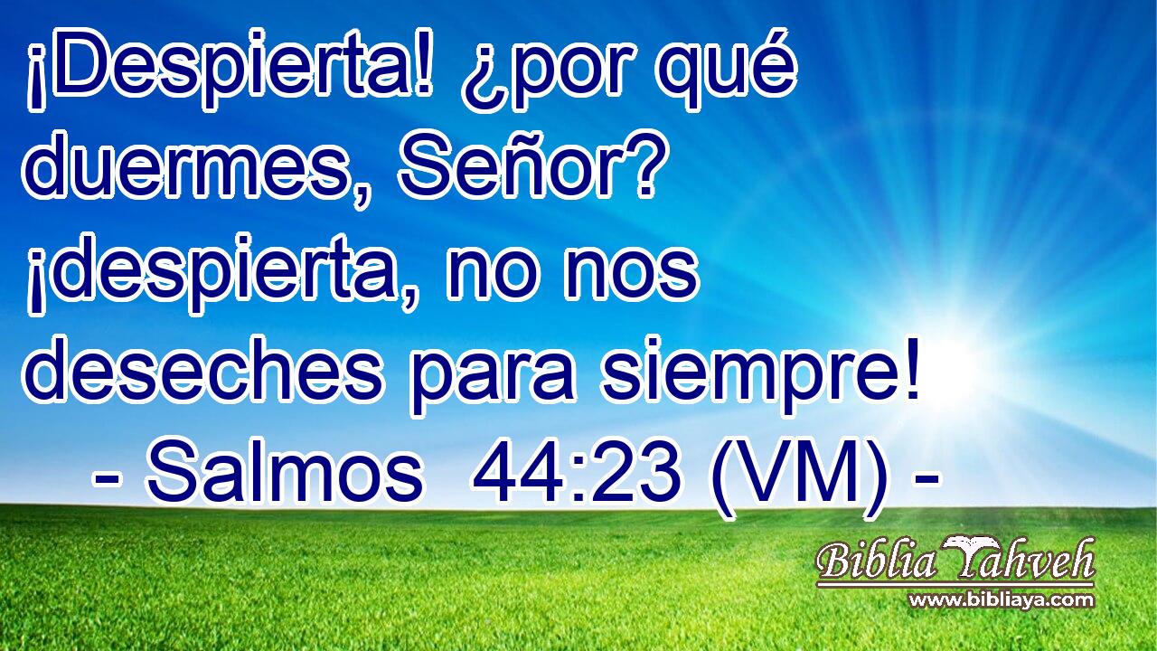  ¡Despierta! ¿por qué duermes, Señor? ¡despierta, no nos deseches para siempre! 