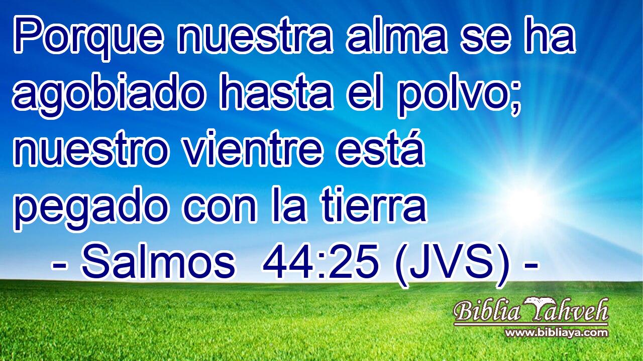 Porque nuestra alma se ha agobiado hasta el polvo; nuestro vientre está pegado con la tierra