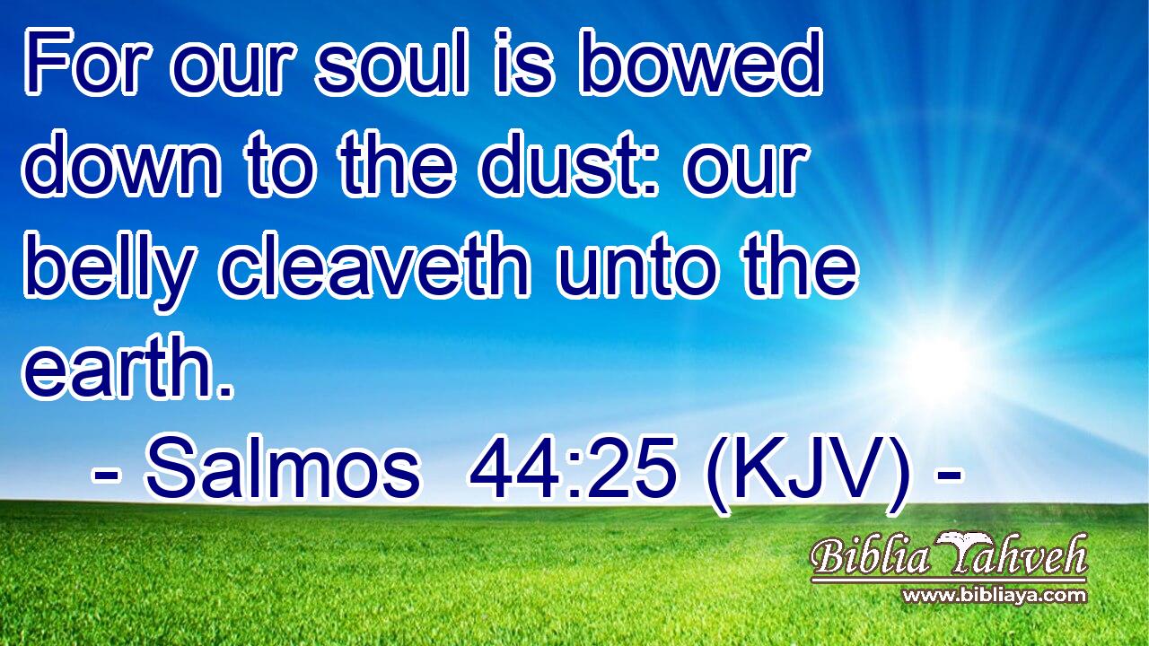 For our soul is bowed down to the dust: our belly cleaveth unto the earth.