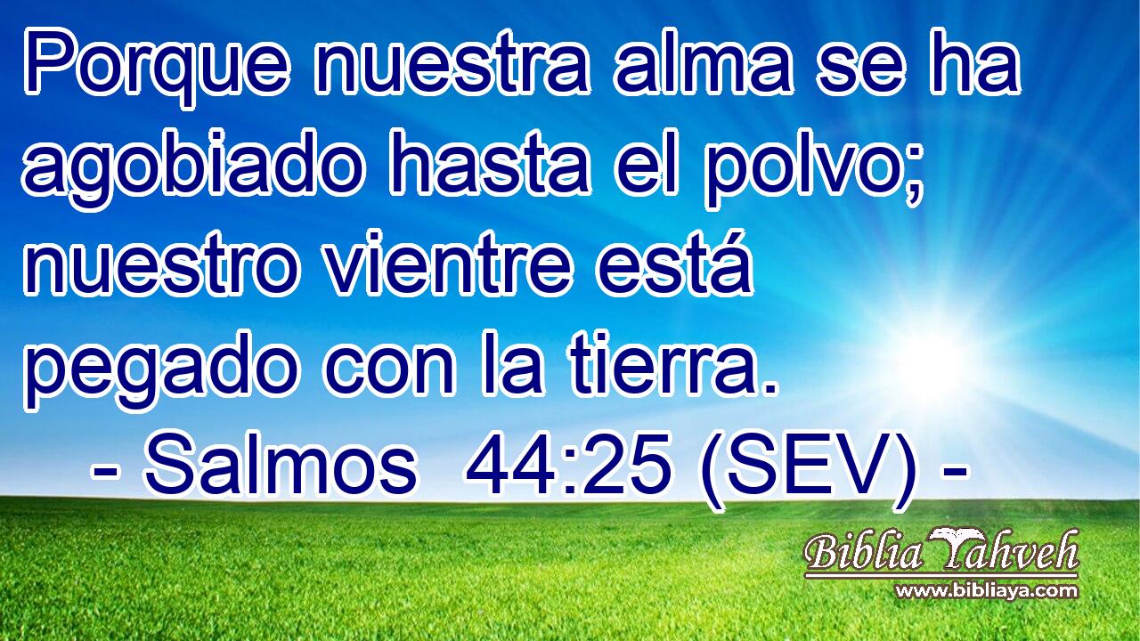 Porque nuestra alma se ha agobiado hasta el polvo; nuestro vientre está pegado con la tierra.