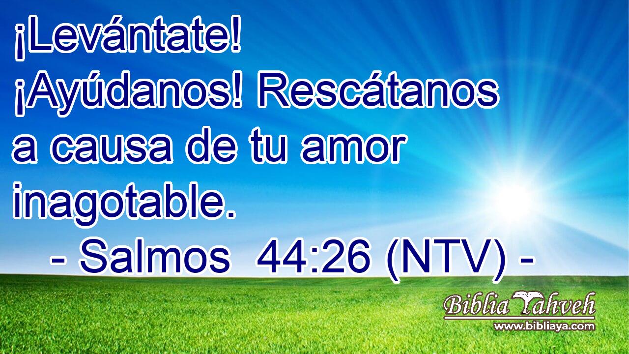 ¡Levántate! ¡Ayúdanos! Rescátanos a causa de tu amor inagotable.