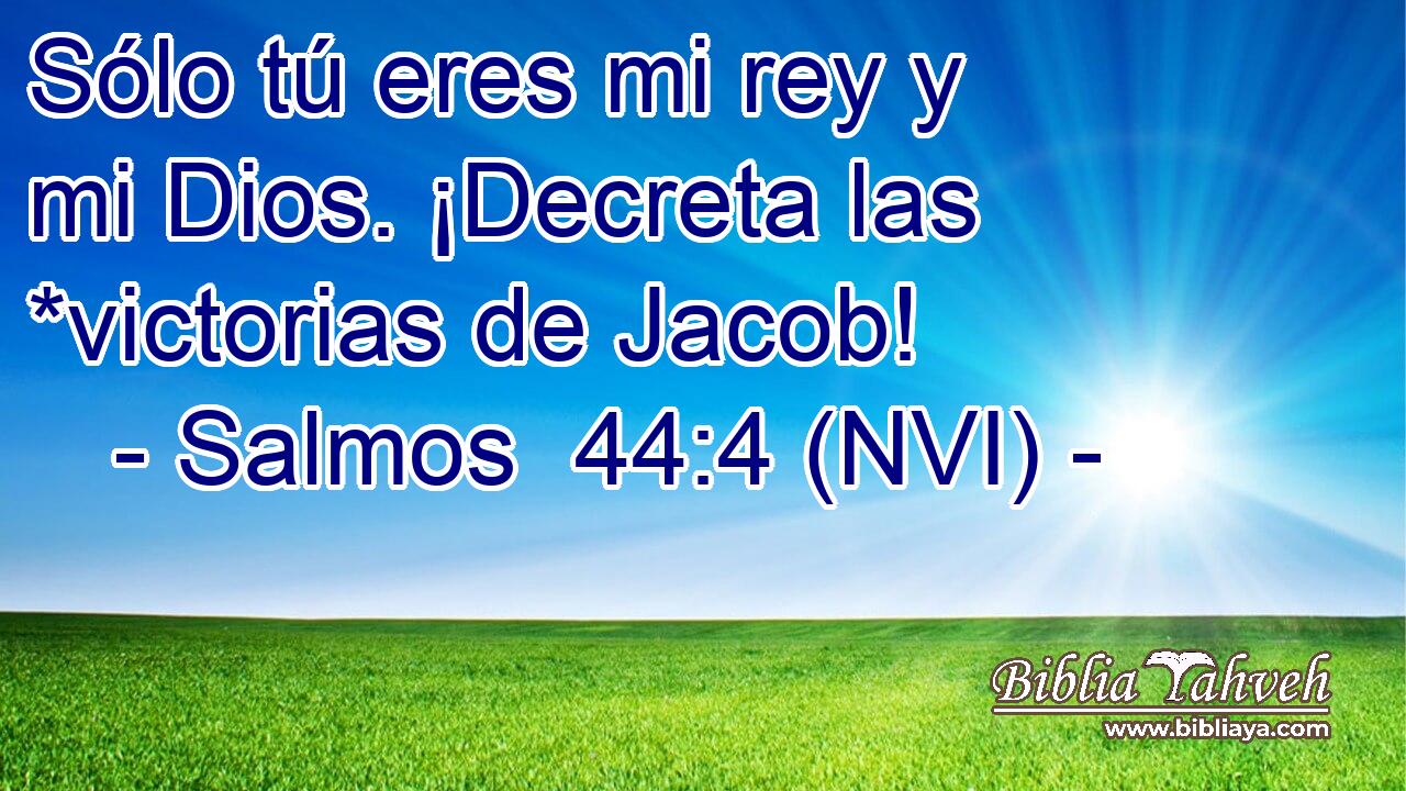  Sólo tú eres mi rey y mi Dios. ¡Decreta las *victorias de Jacob! 