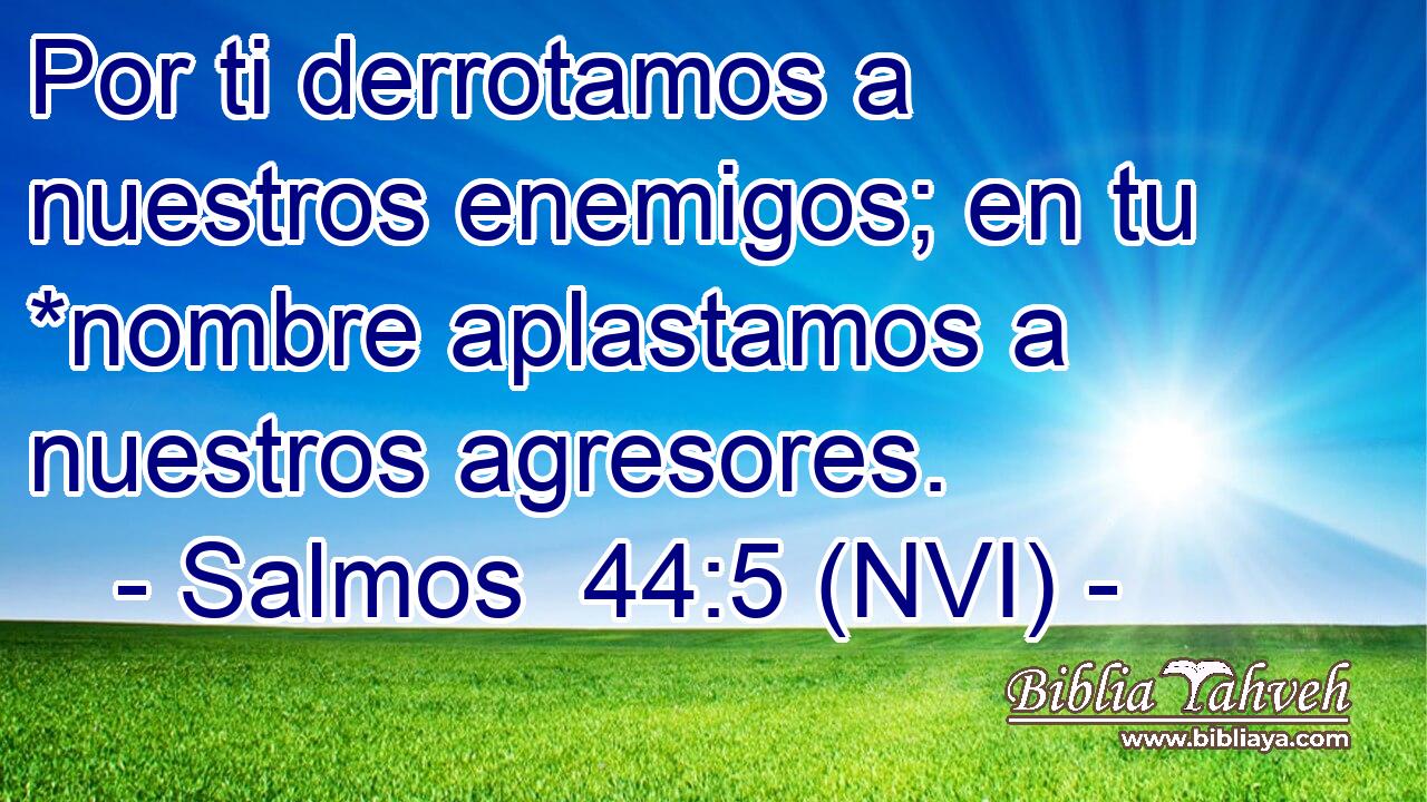  Por ti derrotamos a nuestros enemigos; en tu *nombre aplastamos a nuestros agresores. 