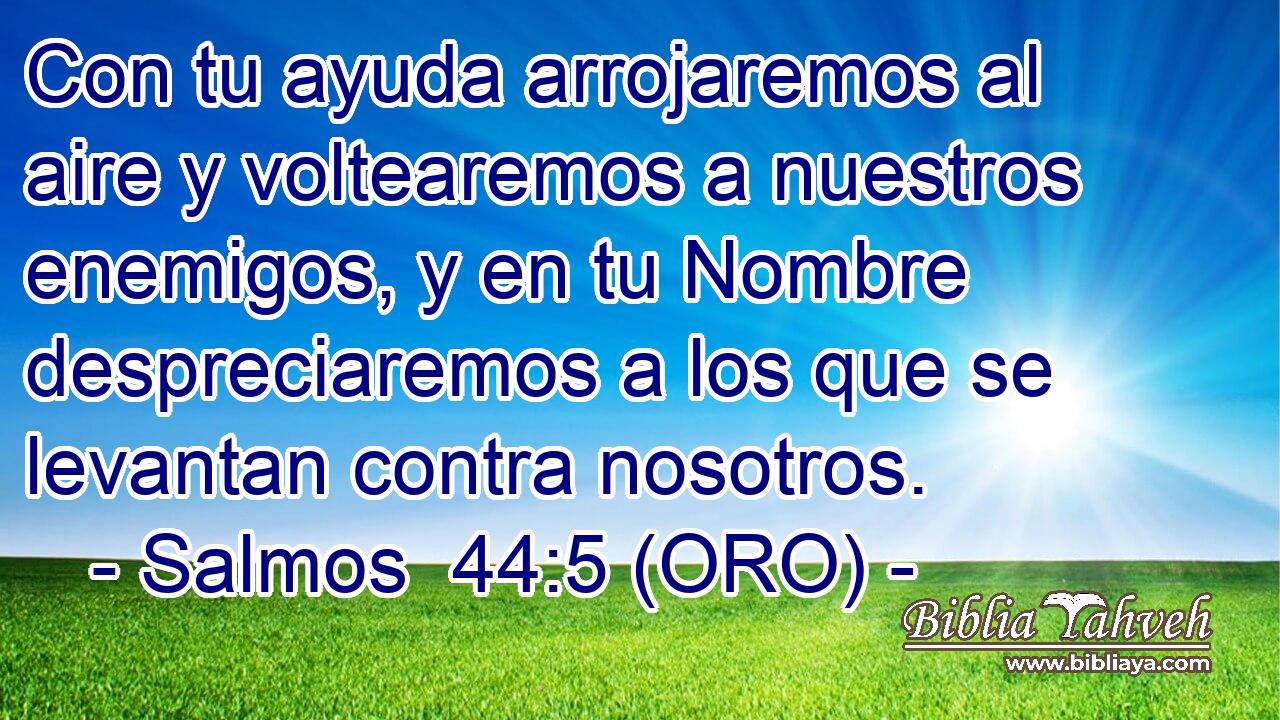  Con tu ayuda arrojaremos al aire y voltearemos a nuestros enemigos, y en tu Nombre despreciaremos a los que se levantan contra nosotros. 