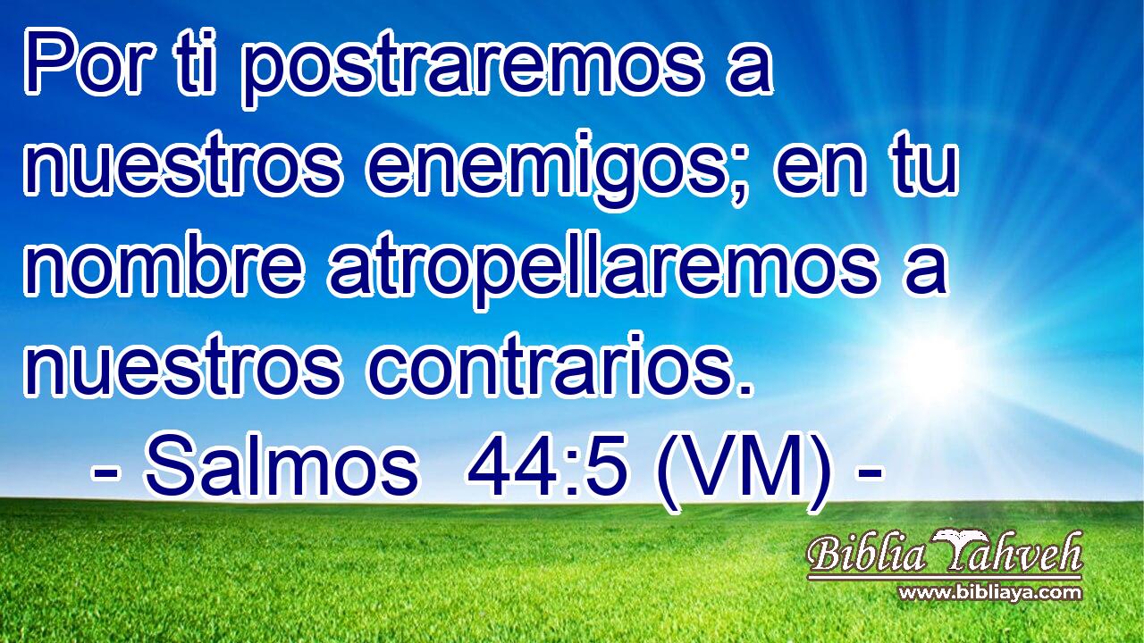  Por ti postraremos a nuestros enemigos; en tu nombre atropellaremos a nuestros contrarios. 