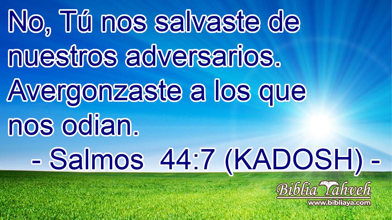  No, Tú nos salvaste de nuestros adversarios. Avergonzaste a los que nos odian. 