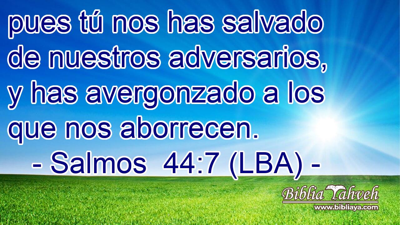 pues tú nos has salvado de nuestros adversarios, y has avergonzado a los que nos aborrecen.