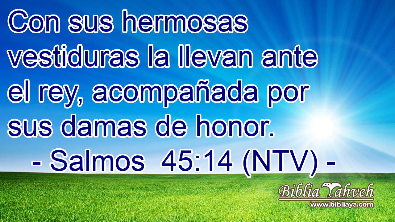 Con sus hermosas vestiduras la llevan ante el rey, acompañada por sus damas de honor.