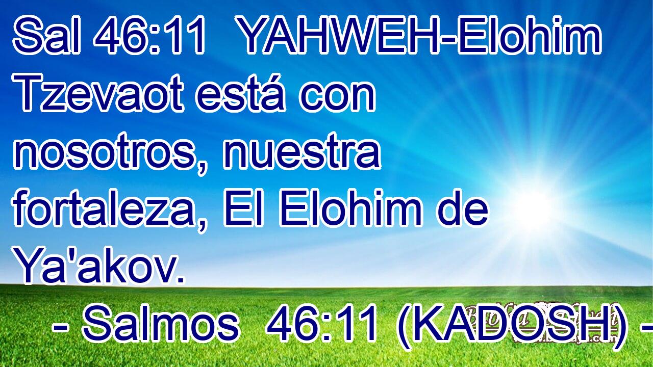  YAHWEH-Elohim Tzevaot está con nosotros, nuestra fortaleza, El Elohim de Ya'akov. 