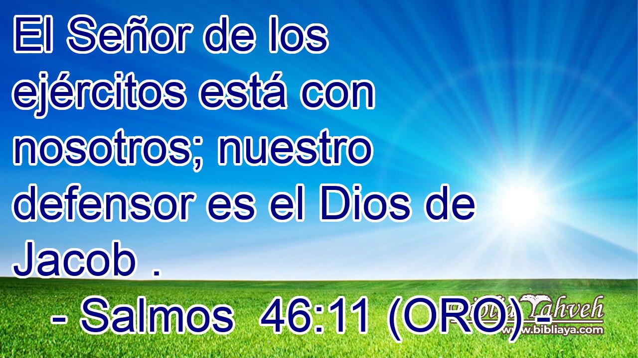 El Señor de los ejércitos está con nosotros; nuestro defensor es el Dios de Jacob . 