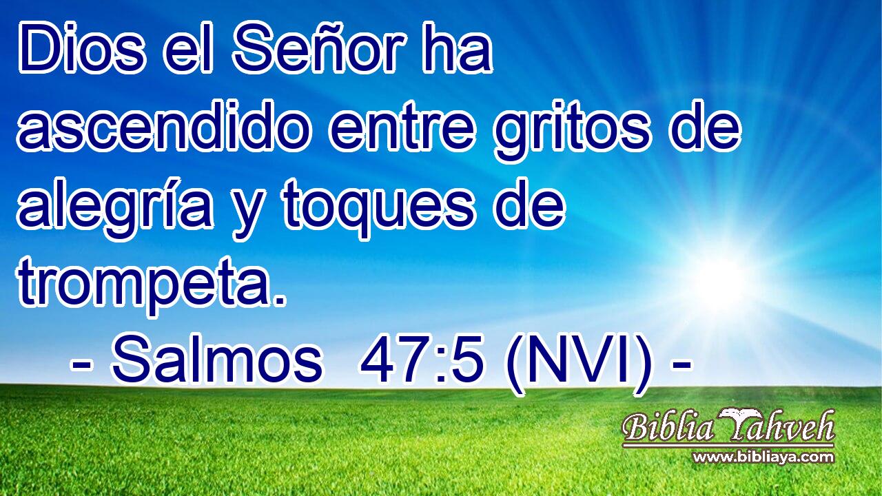  Dios el Señor ha ascendido entre gritos de alegría y toques de trompeta. 