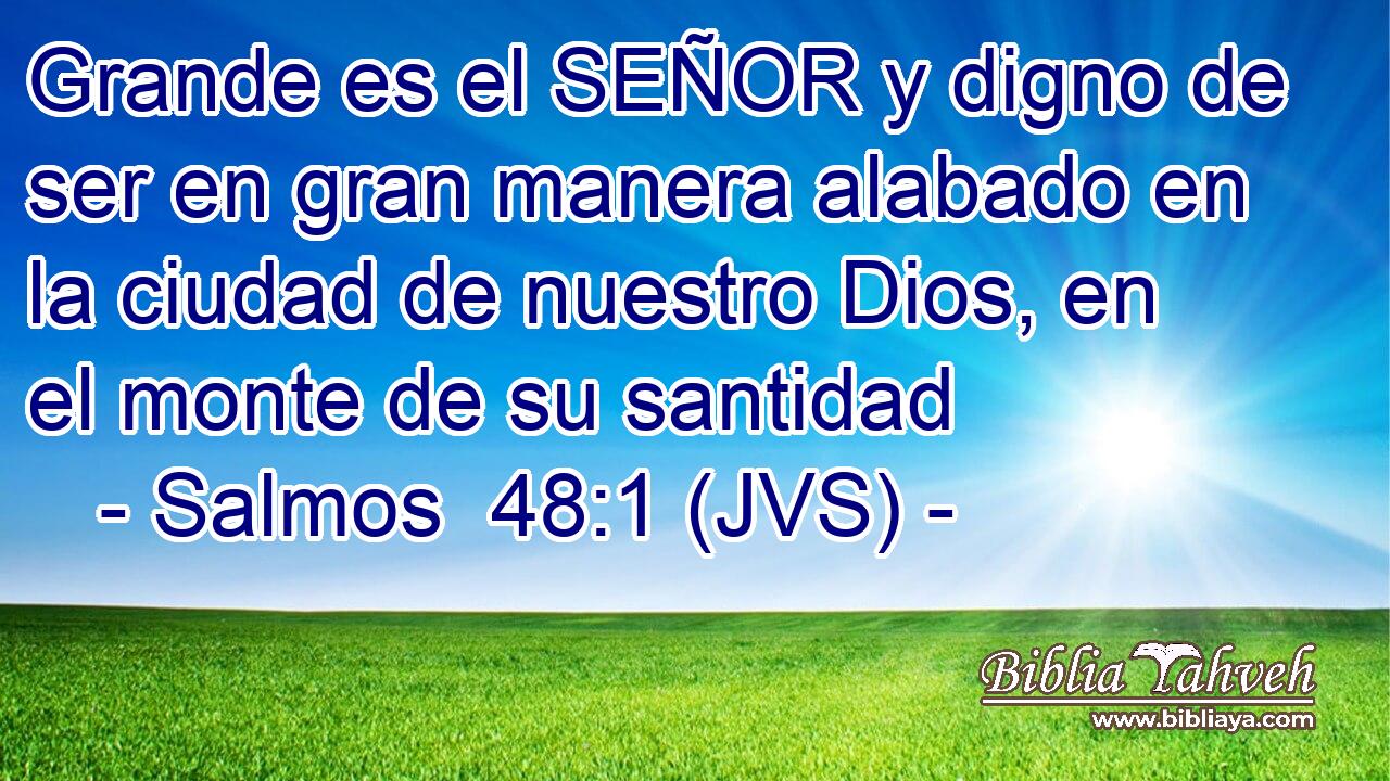 Grande es el SEÑOR y digno de ser en gran manera alabado en la ciudad de nuestro Dios, en el monte de su santidad