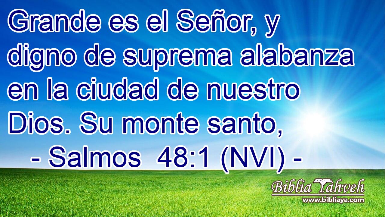  Grande es el Señor, y digno de suprema alabanza en la ciudad de nuestro Dios. Su monte santo, 