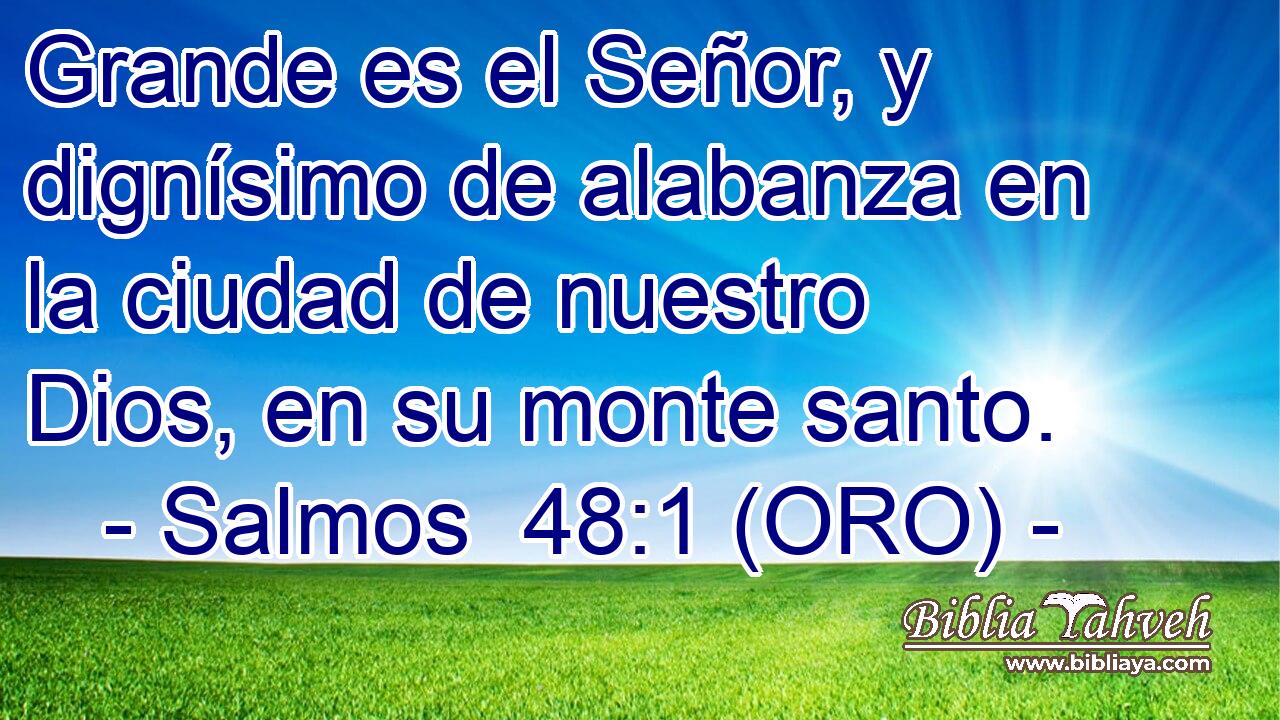 Grande es el Señor, y dignísimo de alabanza en la ciudad de nuestro Dios, en su monte santo. 
