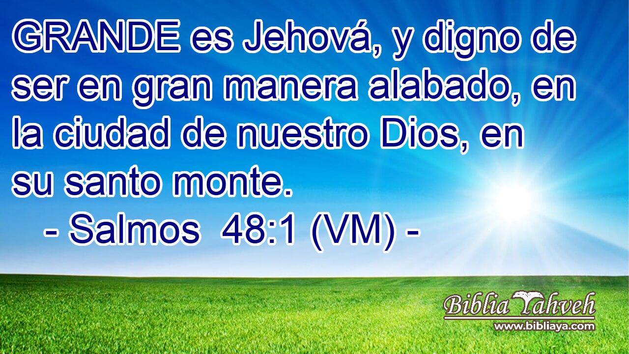  GRANDE es Jehová, y digno de ser en gran manera alabado, en la ciudad de nuestro Dios, en su santo monte. 