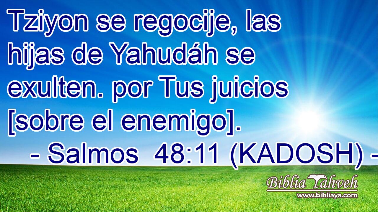  Tziyon se regocije, las hijas de Yahudáh se exulten. por Tus juicios [sobre el enemigo]. 