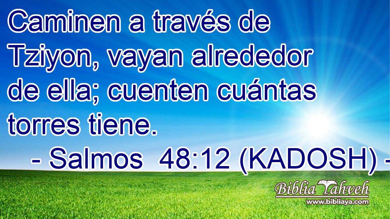  Caminen a través de Tziyon, vayan alrededor de ella; cuenten cuántas torres tiene. 
