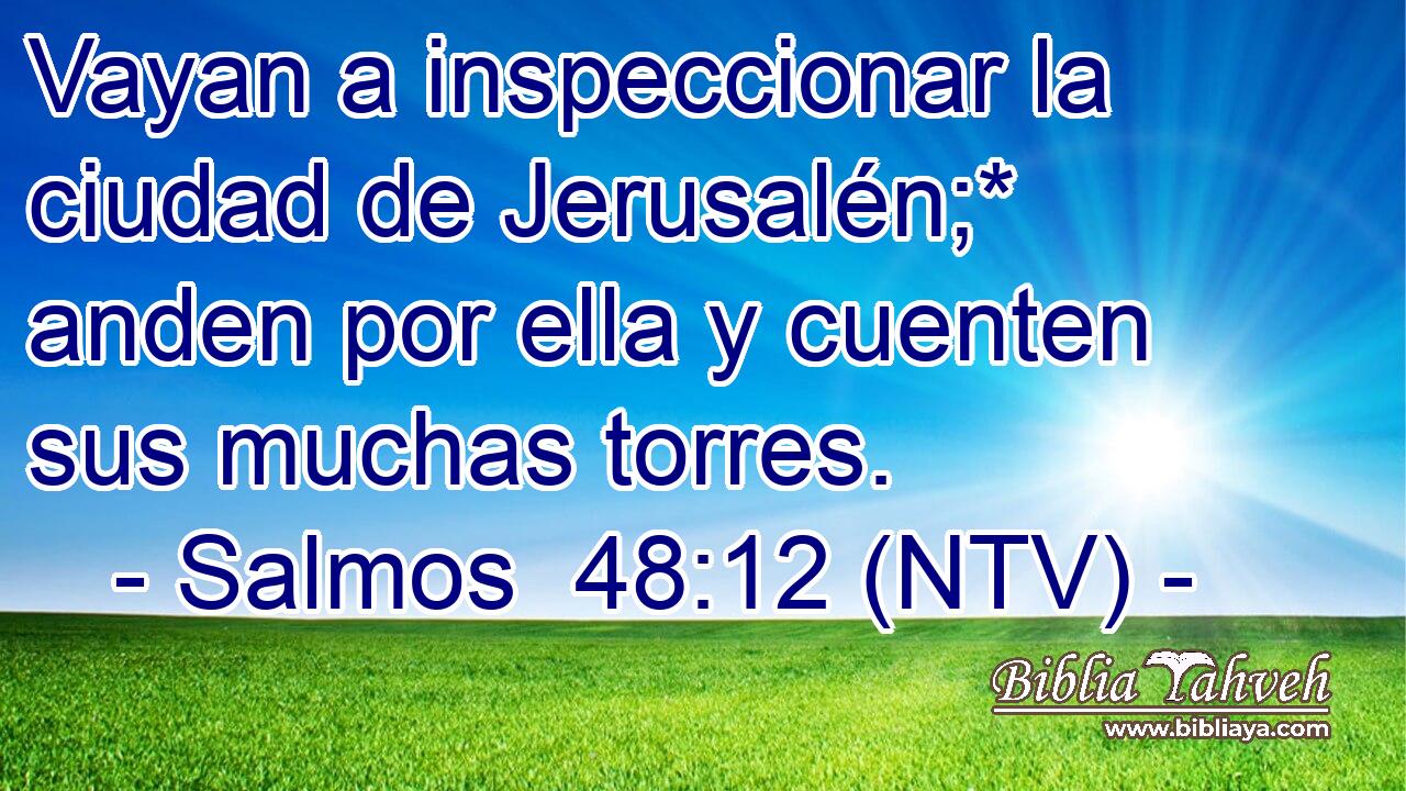 Vayan a inspeccionar la ciudad de Jerusalén;* anden por ella y cuenten sus muchas torres.