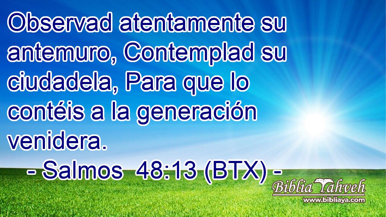Observad atentamente su antemuro, Contemplad su ciudadela, Para que lo contéis a la generación venidera.