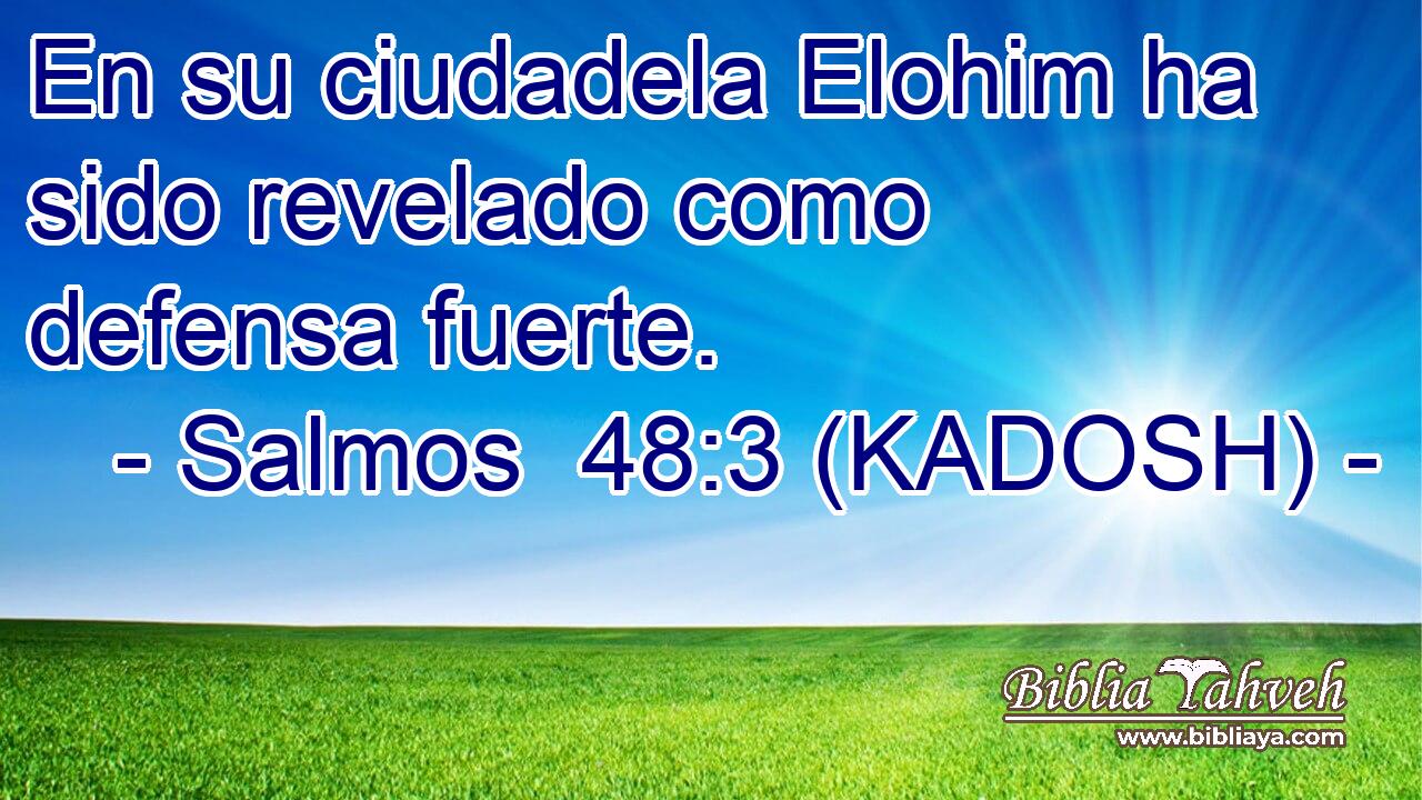  En su ciudadela Elohim ha sido revelado como defensa fuerte. 