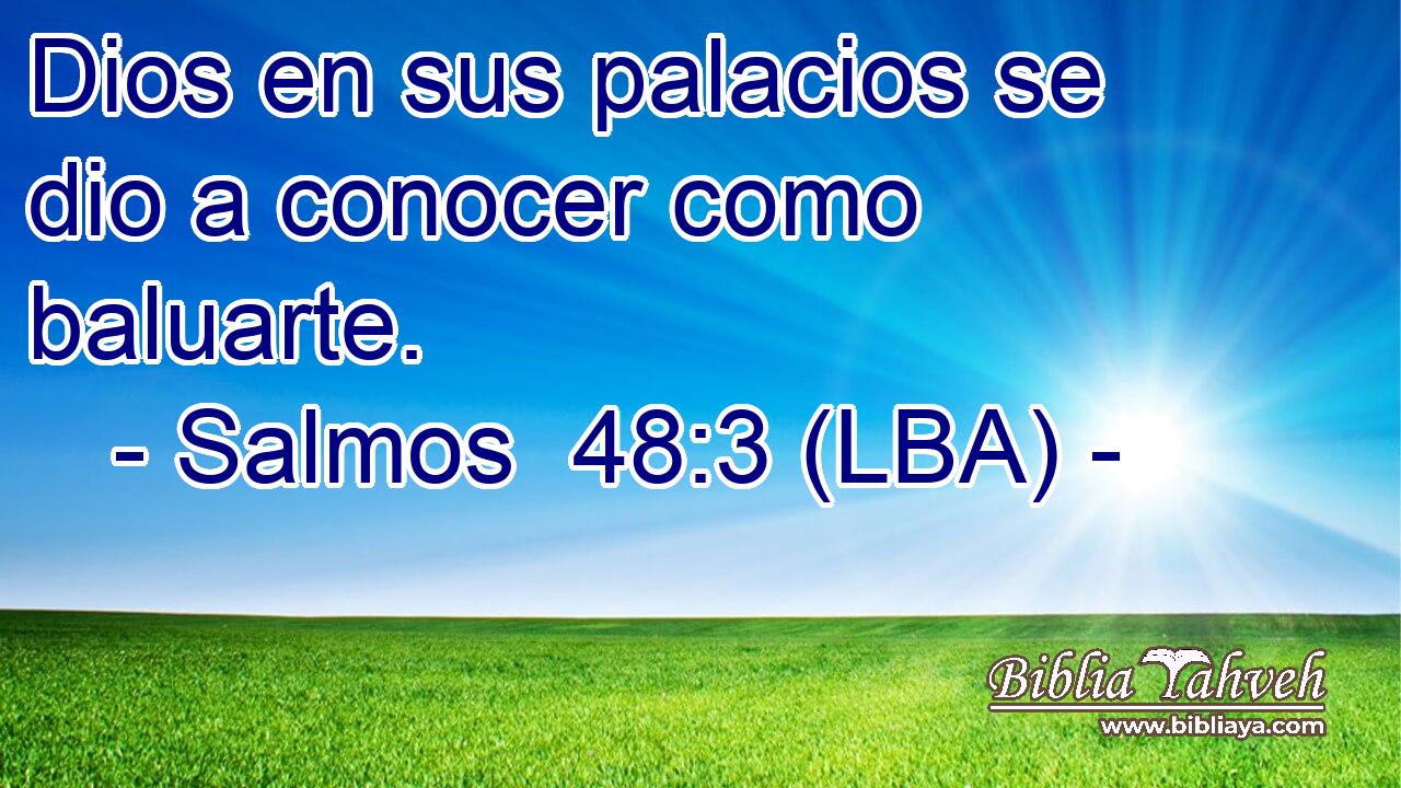 Dios en sus palacios se dio a conocer como baluarte.