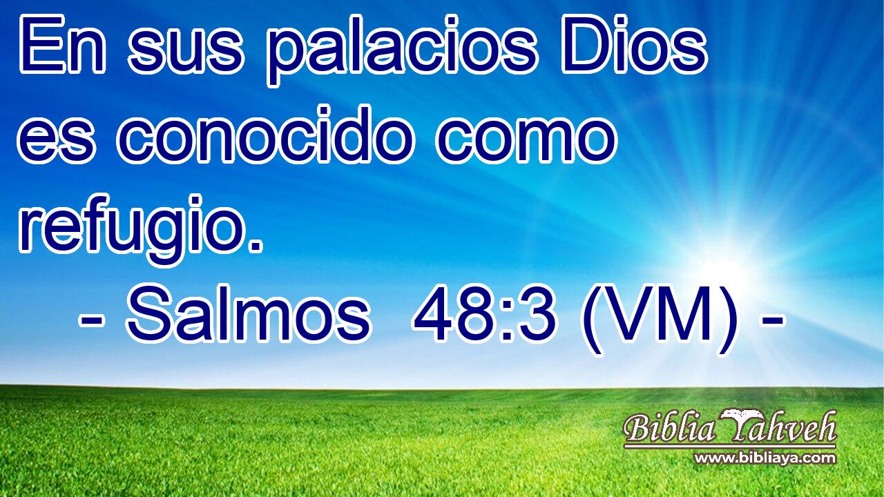  En sus palacios Dios es conocido como refugio. 