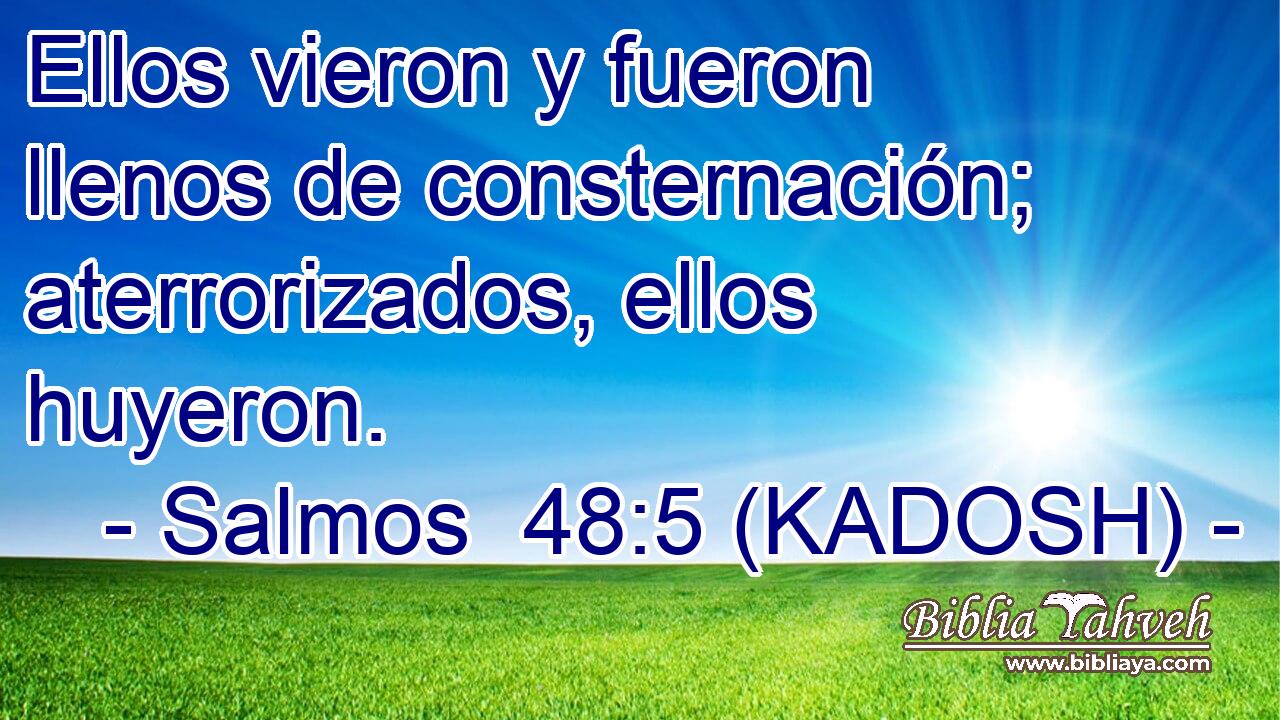  Ellos vieron y fueron llenos de consternación; aterrorizados, ellos huyeron. 