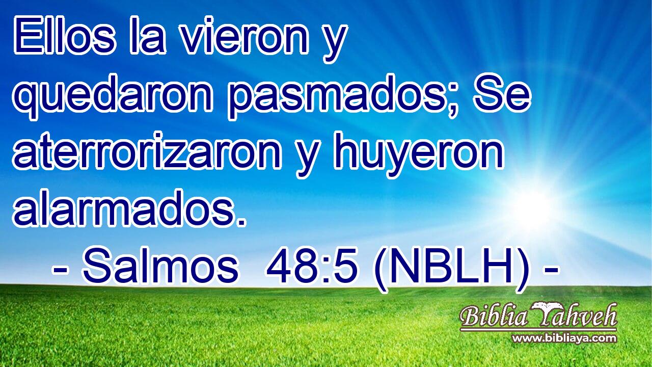  Ellos la vieron y quedaron pasmados; Se aterrorizaron y huyeron alarmados. 
