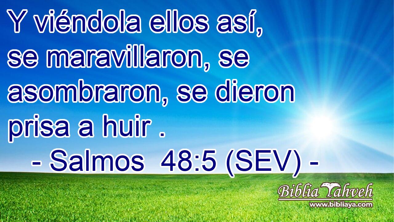 Y viéndola ellos así, se maravillaron, se asombraron, se dieron prisa a huir .