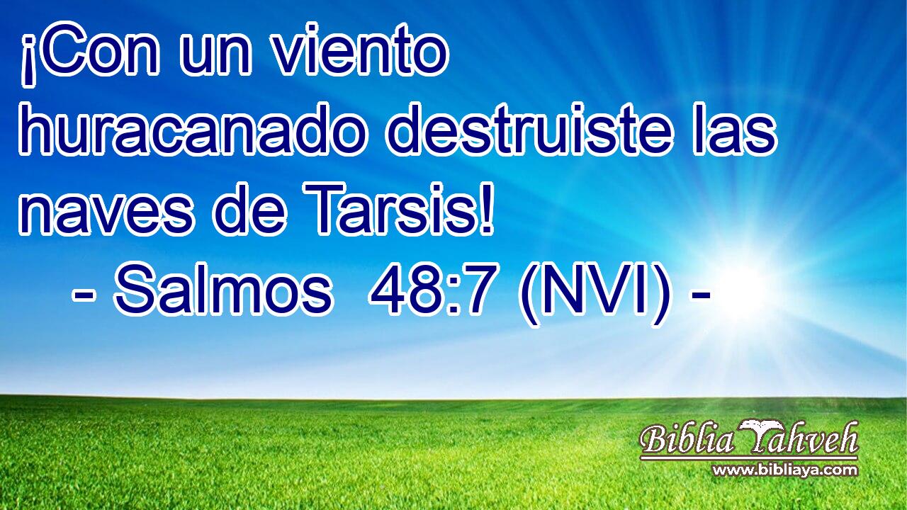  ¡Con un viento huracanado destruiste las naves de Tarsis! 