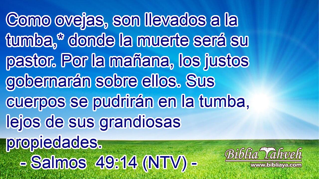Como ovejas, son llevados a la tumba,* donde la muerte será su pastor. Por la mañana, los justos gobernarán sobre ellos. Sus cuerpos se pudrirán en la tumba, lejos de sus grandiosas propiedades.