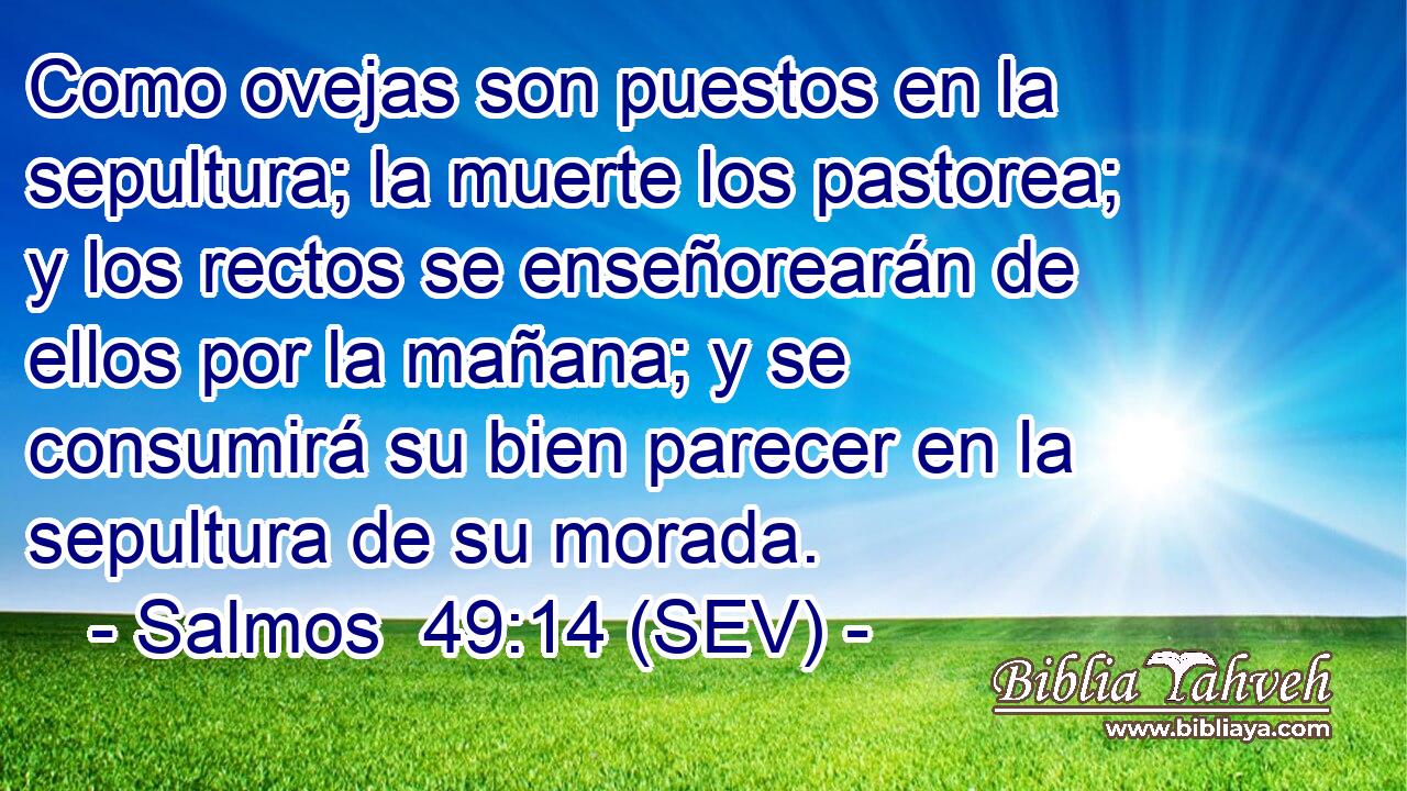 Como ovejas son puestos en la sepultura; la muerte los pastorea; y los rectos se enseñorearán de ellos por la mañana; y se consumirá su bien parecer en la sepultura de su morada.