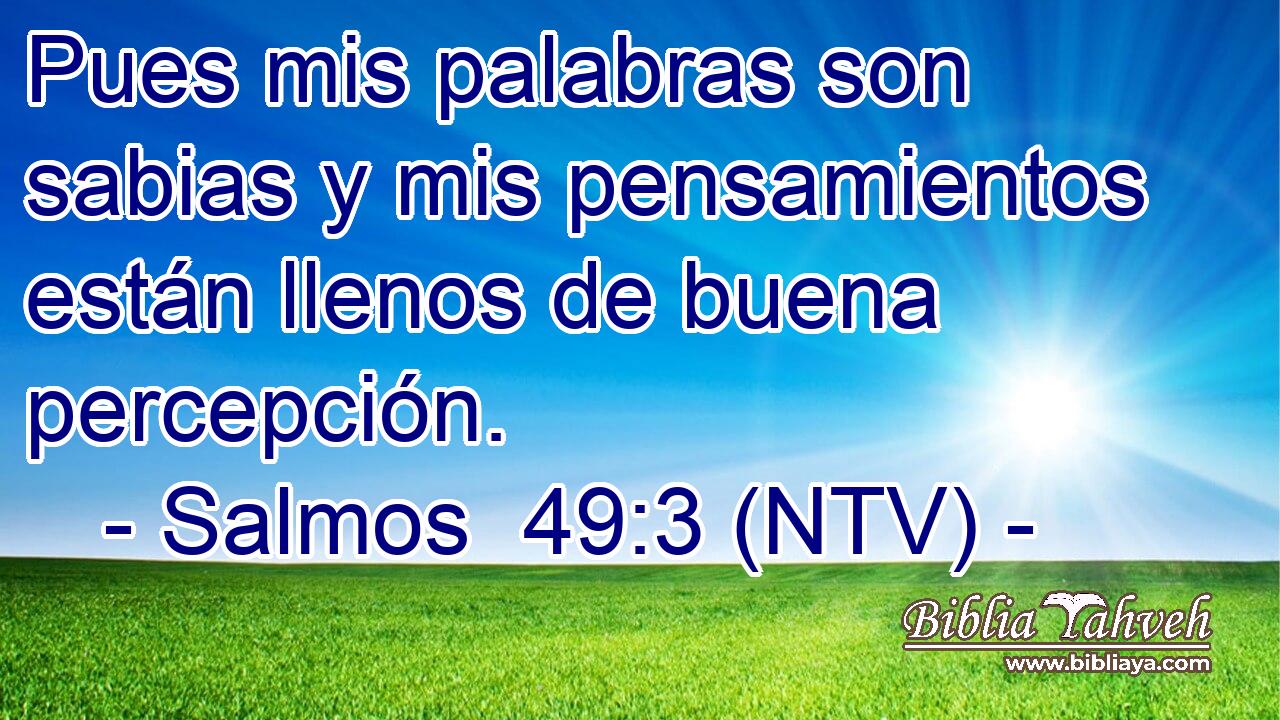Pues mis palabras son sabias y mis pensamientos están llenos de buena percepción.