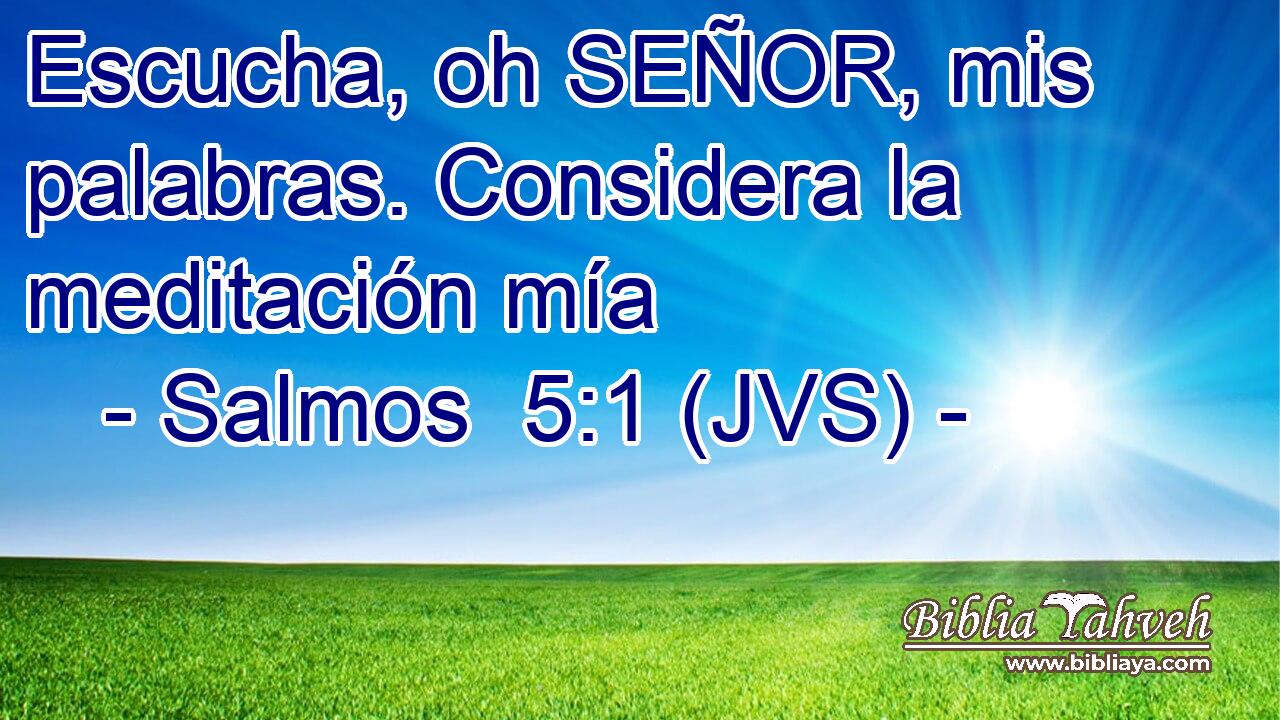 Escucha, oh SEÑOR, mis palabras. Considera la meditación mía