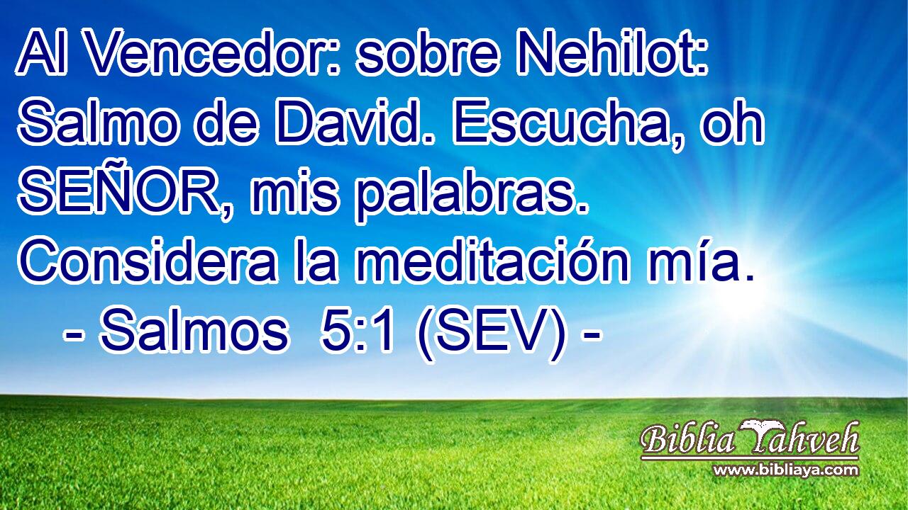 Al Vencedor: sobre Nehilot: Salmo de David. Escucha, oh SEÑOR, mis palabras. Considera la meditación mía.